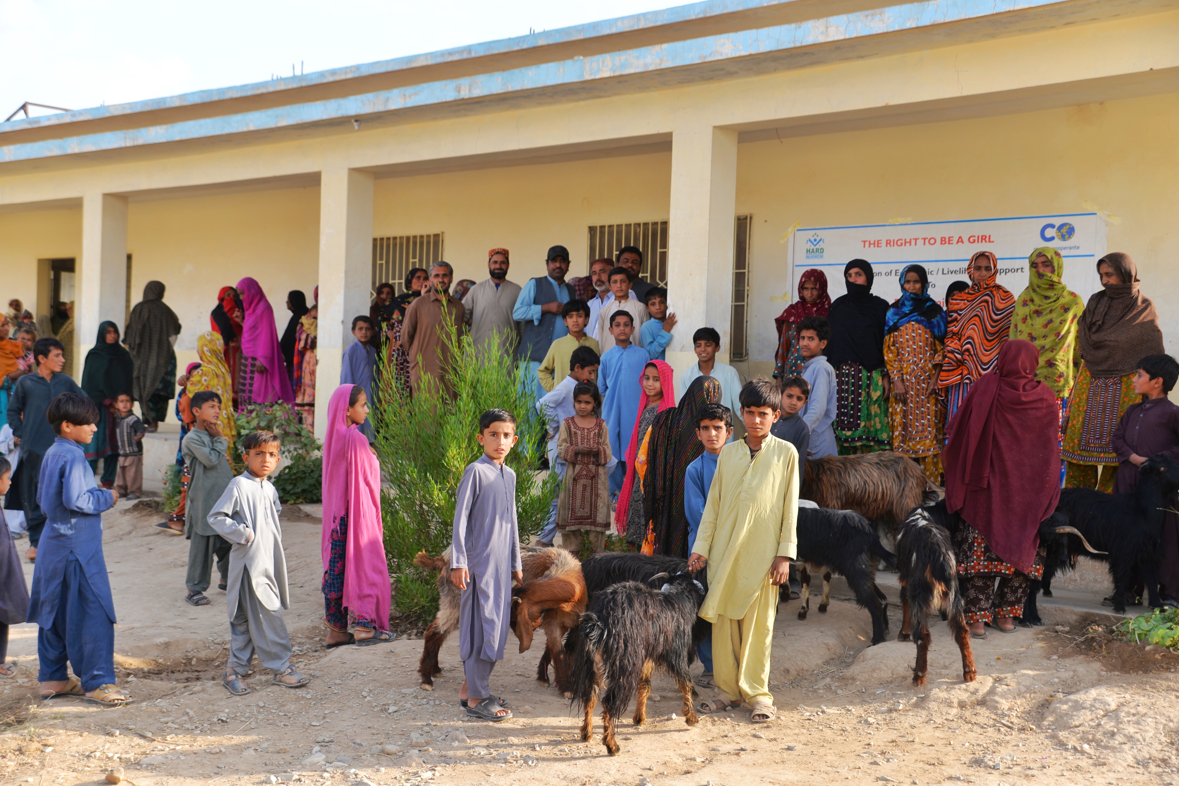 Health and Rural Development Balochistan (HARD)-3